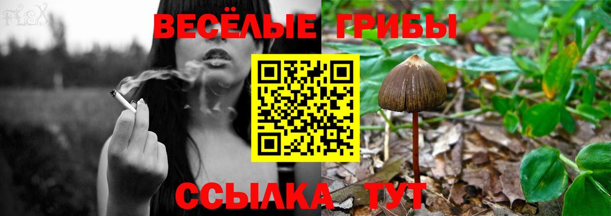 Галлюциногенные грибы ЛСД Куйбышев